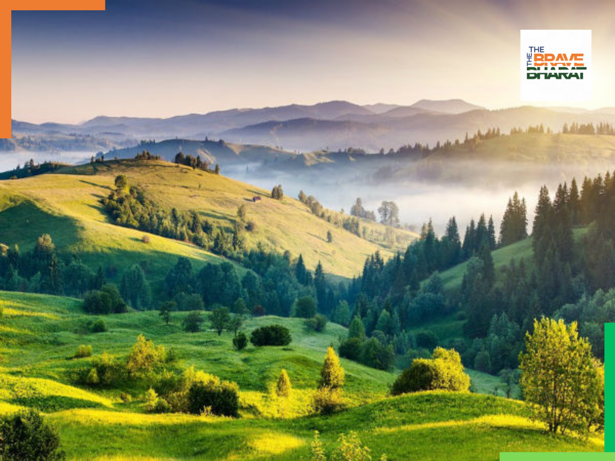 Best tourist place in South India: सर्दी के मौसम में घूमने के लिए बेस्ट हैं साउथ इंडिया के ये टूरिस्ट प्लेस, एक बार फैमली संग जरूर बनाएं प्लान