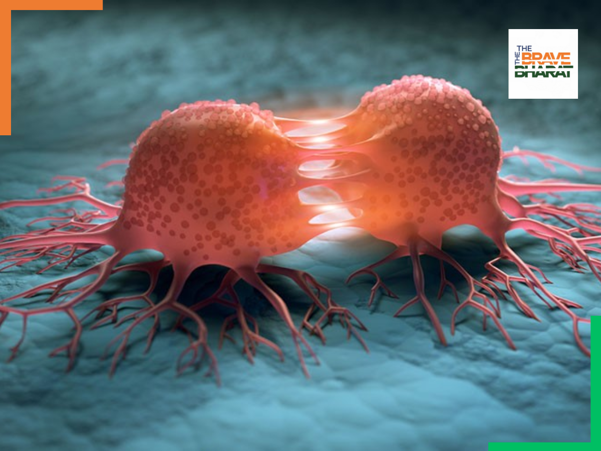 Cancer Treatment: इस राजा के 3,300 साल पुराने श्राप ने दिखाया कैंसर के इलाज का रास्ता, वैज्ञानिकों की इस रिपोर्ट से झन्नाटेदार खुलासा